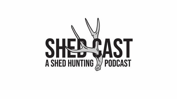 ShedCast Podcast